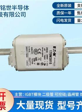 170M3815 170M3816D 170M3817 170M3818 170M3819 170M3975