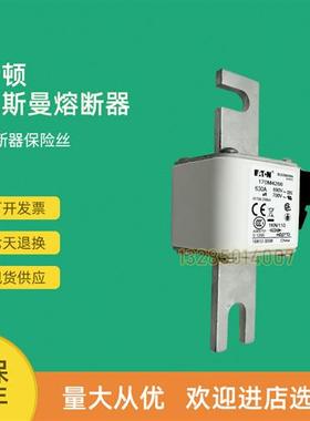 全新快速熔断器保险170M4202 170M4203 170M4204 170M4208