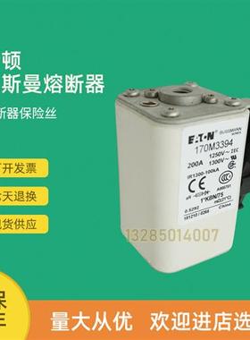 全新快速熔断器保险170M3573 170M3608 170M3609 170M3610