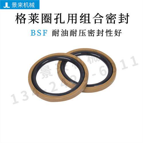 BSF480 500 510 550 560 孔用格莱圈