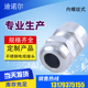 304不锈钢内螺纹格兰头 不锈钢防爆防水电缆接头密封夹紧固定接头
