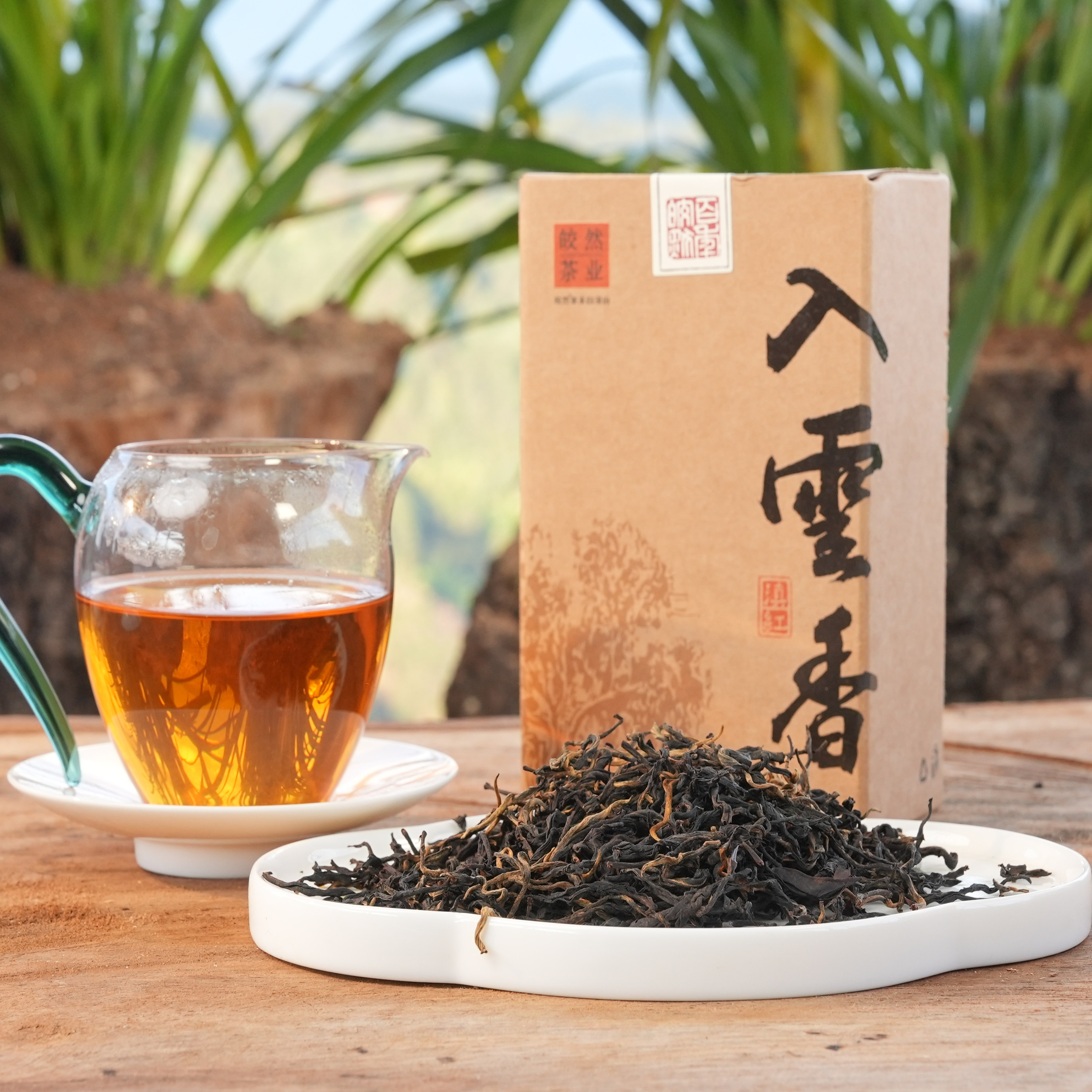 【入云香古树红茶】2025年春茶 280克 条索均匀 香气浓郁传统工艺