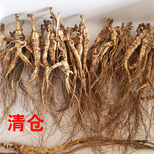 人参山参残枝干长白山2件肢野