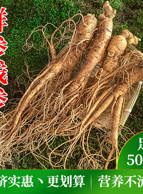 长白山新鲜人参 残参250g/500g东北带土鲜人参 现挖现售 产地直发