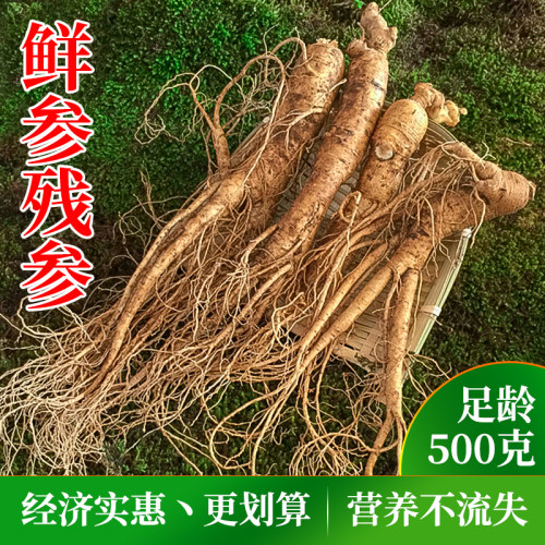 长白山鲜人参残参实惠产地直发