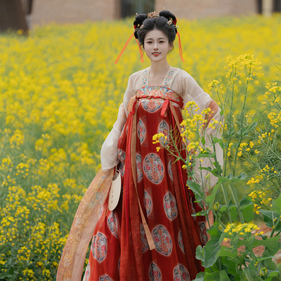 南巷瑾夏2025原创汉服齐胸裙唐制