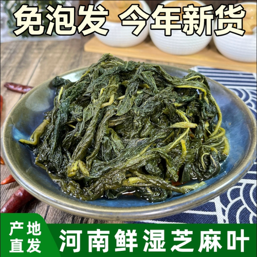 好祥吃芝麻叶新鲜湿河南南阳特产