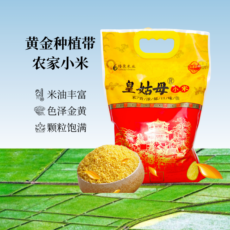 【2025年新小米】隆泉黄小米2.5kg 农家小米承德特产厂家直销包邮