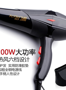 超波王专业宠物吹风机专用大功率