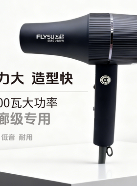 飞超8865吹风机大功率发型师专用负离子蓝光护发不伤发廊电吹风筒
