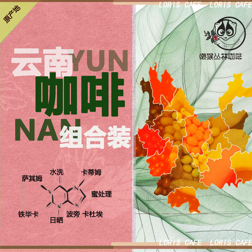 懒猴十款云南咖啡豆盲盒