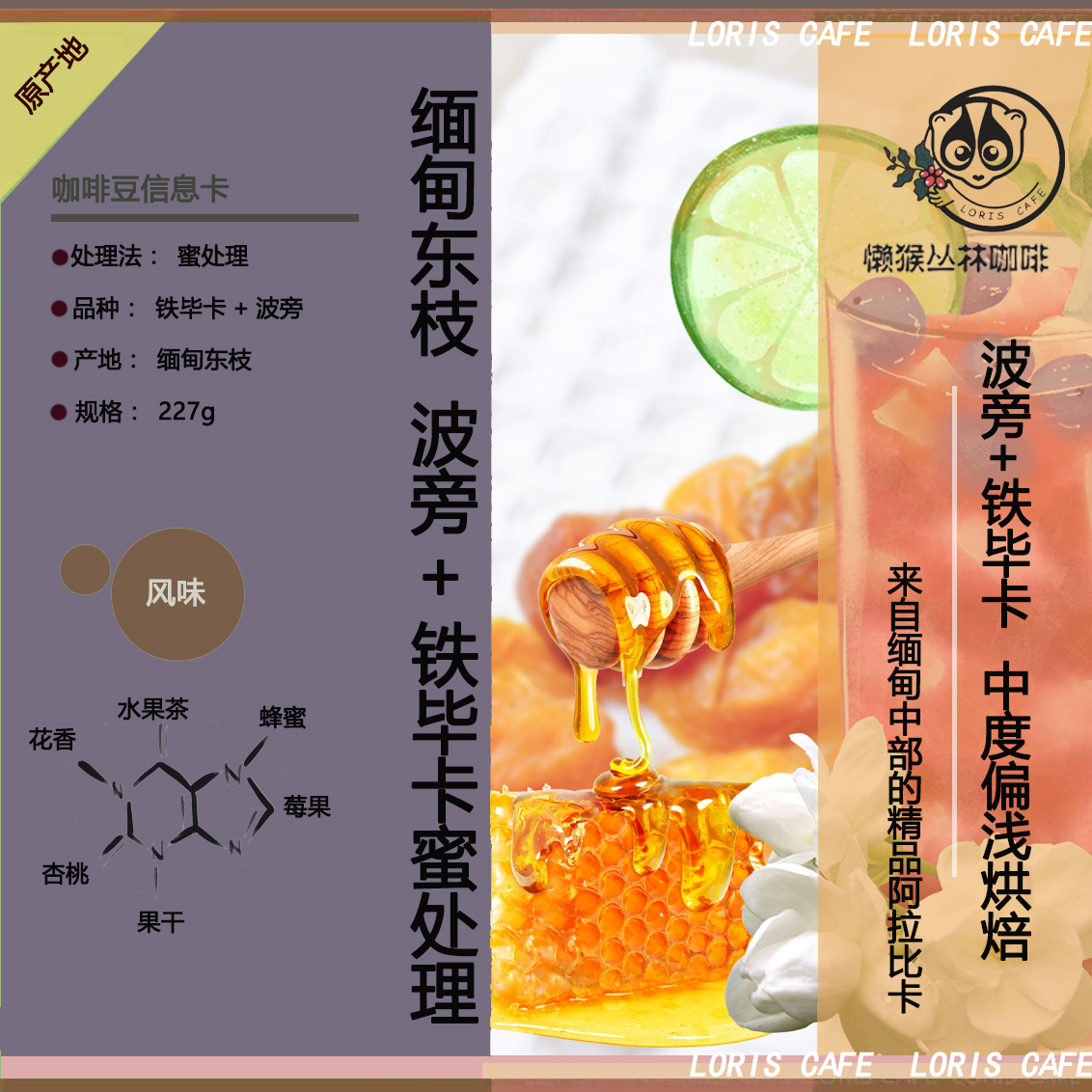 缅甸金色东枝庄园蜜处理咖啡豆 懒猴自烘焙挂耳咖啡