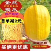 崇明金丝绞瓜搅瓜黄金瓜鱼翅瓜丝瓜多省凉拌菜火锅菜 包邮