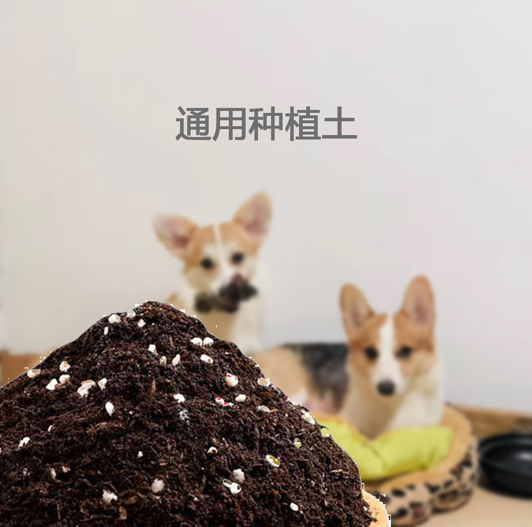 通用种植土进口泥炭珍珠岩