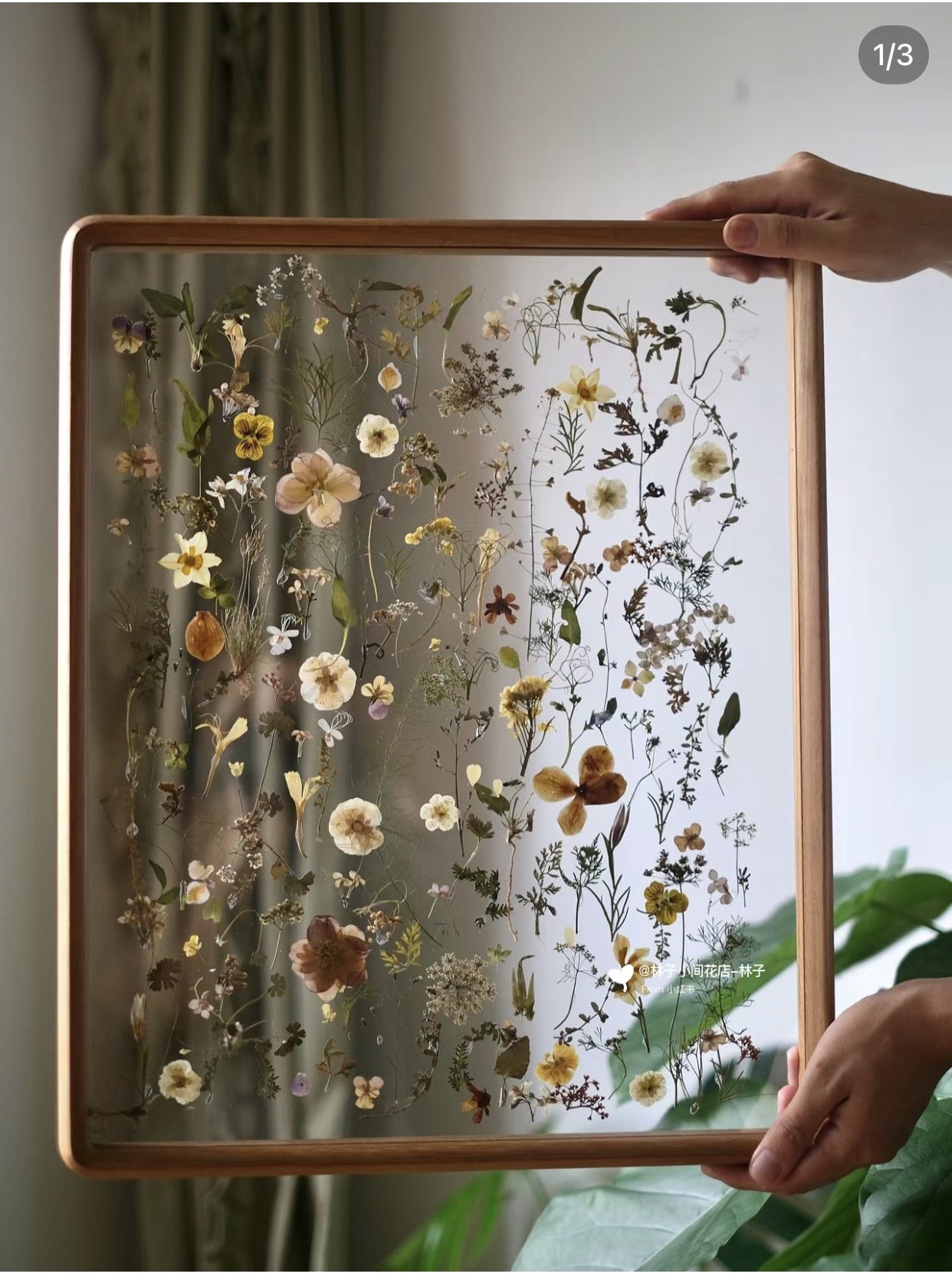 高定系列手工定制网红实木干花相框字画永生花透明亚克力轻奢摆件,家居饰品,标本类装饰画,淘宝优惠券,粉丝福利购,淘宝优惠卷