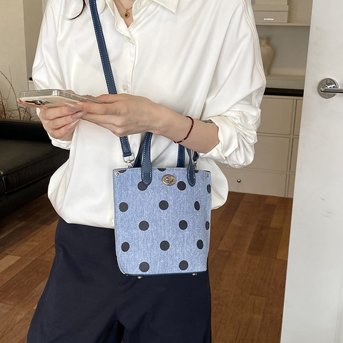 韩系精致高级感小众波点包包女式