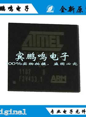 AT91SAM9260B-CU BGA217 32BIT 32KB ROM 微控制器 原装 全新现货