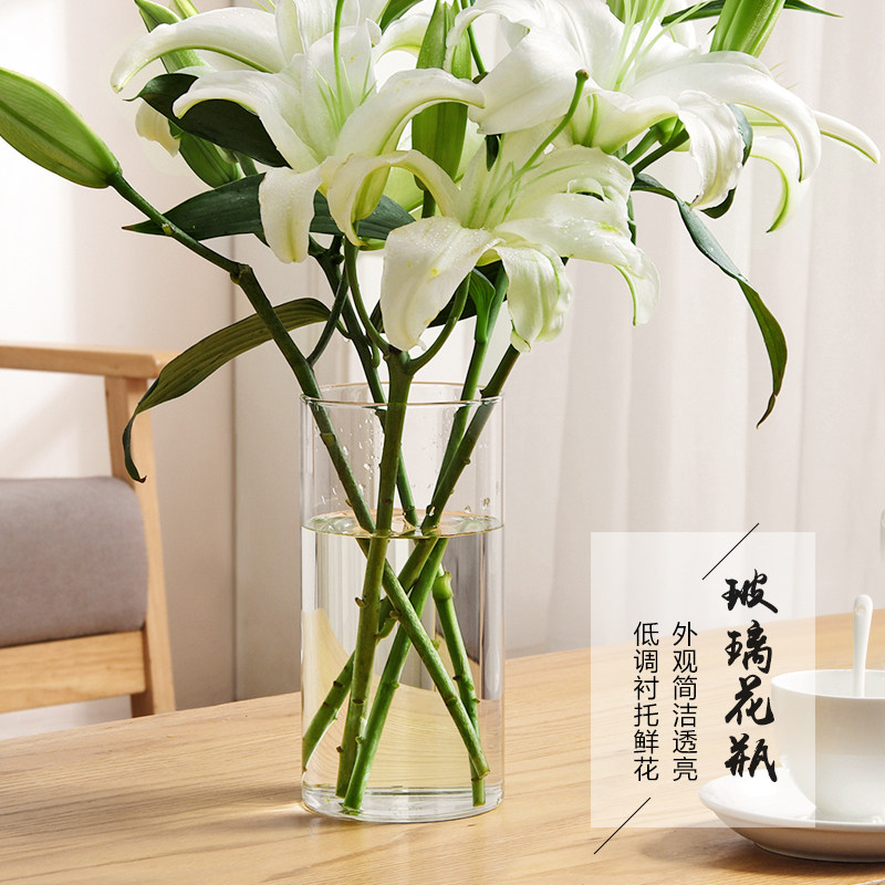 优思居 透明玻璃花瓶简约客厅摆件 家用水培鲜花富贵竹百合花瓶