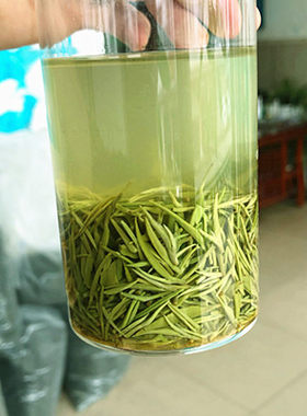 绿茶嫩芽信阳毛尖浓香耐泡