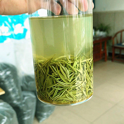 绿茶嫩芽信阳毛尖浓香耐泡