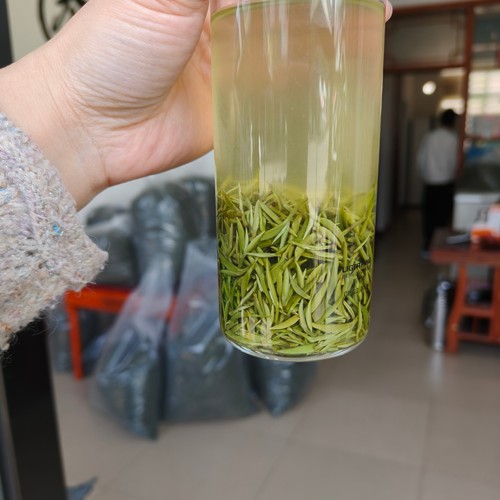 新茶嫩芽高山浓香耐泡栗