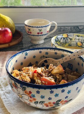 波兰进口手绘陶瓷炒菜盘汤面碗