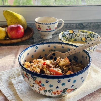 波兰进口手绘陶瓷炒菜盘汤面碗