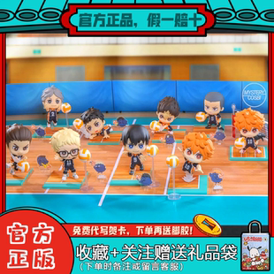 Toys排球少年盲盒迷你人偶系列日向翔阳手办摆件潮玩周边玩具 Hot