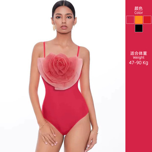 大码 泡温泉拍照 微胖甜美风花朵泳衣女2024新款 遮肚子显瘦连体泳装