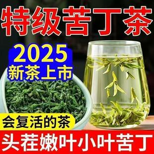 小叶苦丁茶降血糖降压三高血压血脂降糖血糖高喝的茶四川官方旗舰店正品一级嫩芽2025新茶特级野生小叶苦丁茶有什么功效与作用降火