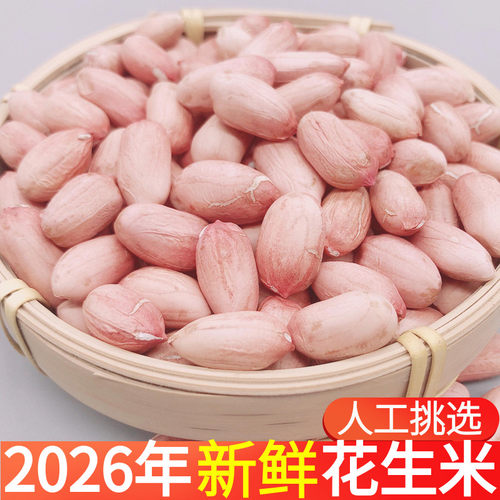 2026年花生米生新优质新货花生仁新鲜大颗粒山东农家特级干花生豆