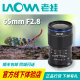 1超微距镜头新品 LAOWA老蛙CF 2X两倍半画幅微单无反2 65mm F2.8