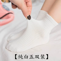 Trẻ em vớ trắng bé trai vớ cotton ống 1-3-5-7-9 tuổi Cô gái thuần trắng vớ thể thao - Vớ vớ sàn mỏng