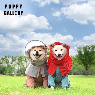 威尔士雨衣 Gallery韩国宠物狗狗中小型犬四脚衣护肚子雨衣 Puppy