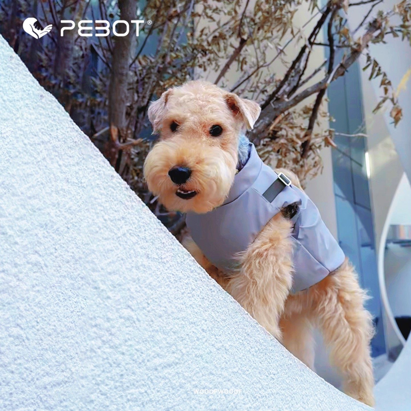 Olaf雪宝胸背衣 PEBOT宠物中小型犬狗猫法斗八哥牵引衣服背心马甲