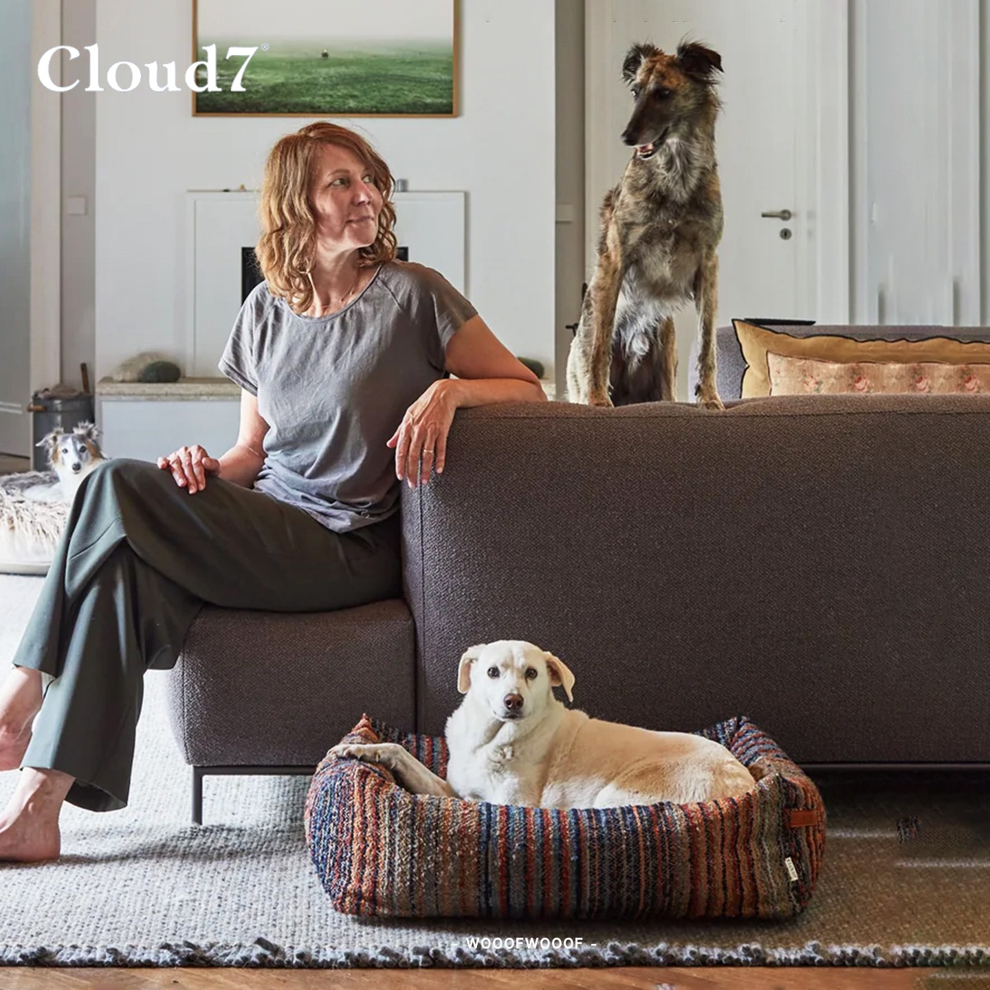 Sleepy困困窝 Cloud7德国进口乳胶宠物窝狗窝猫窝可拆卸四季窝垫