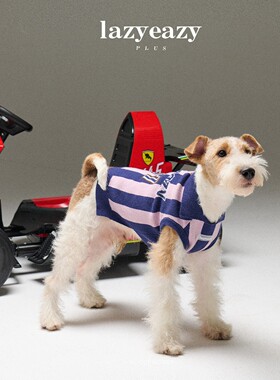 条纹运动针织衫 Lazyeazy狗狗猫中小型犬舒适柔软保暖圆领打底衫