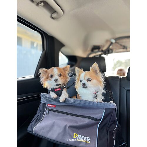 EzyDog澳洲进口防水车载坐垫宠物狗狗安全座椅车载胸背牵引安全带