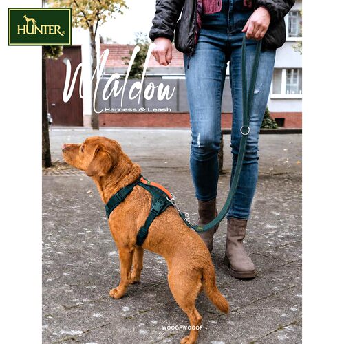 Maldon系列 HUNTER德国进口宠物大中小型狗猫耐用多功能胸背牵引