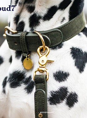 蒂尔加滕系列 Cloud7德国进口宠物中小型犬猫复古牛皮项圈牵引绳