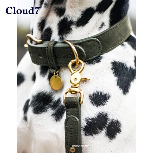 蒂尔加滕系列 Cloud7德国进口宠物中小型犬猫复古牛皮项圈牵引绳