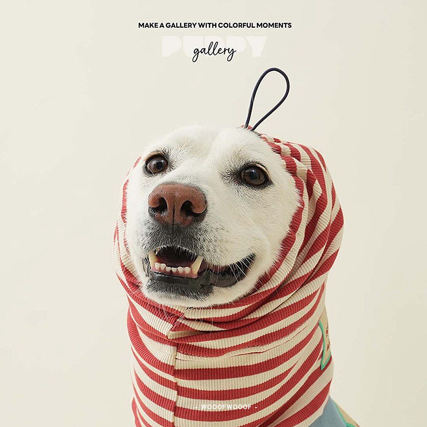 篝火高领卫衣 Puppy Gallery韩国宠物狗猫大中小型犬细狗打底T恤