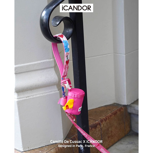 iCANDOR宠物拾便器便携小包包
