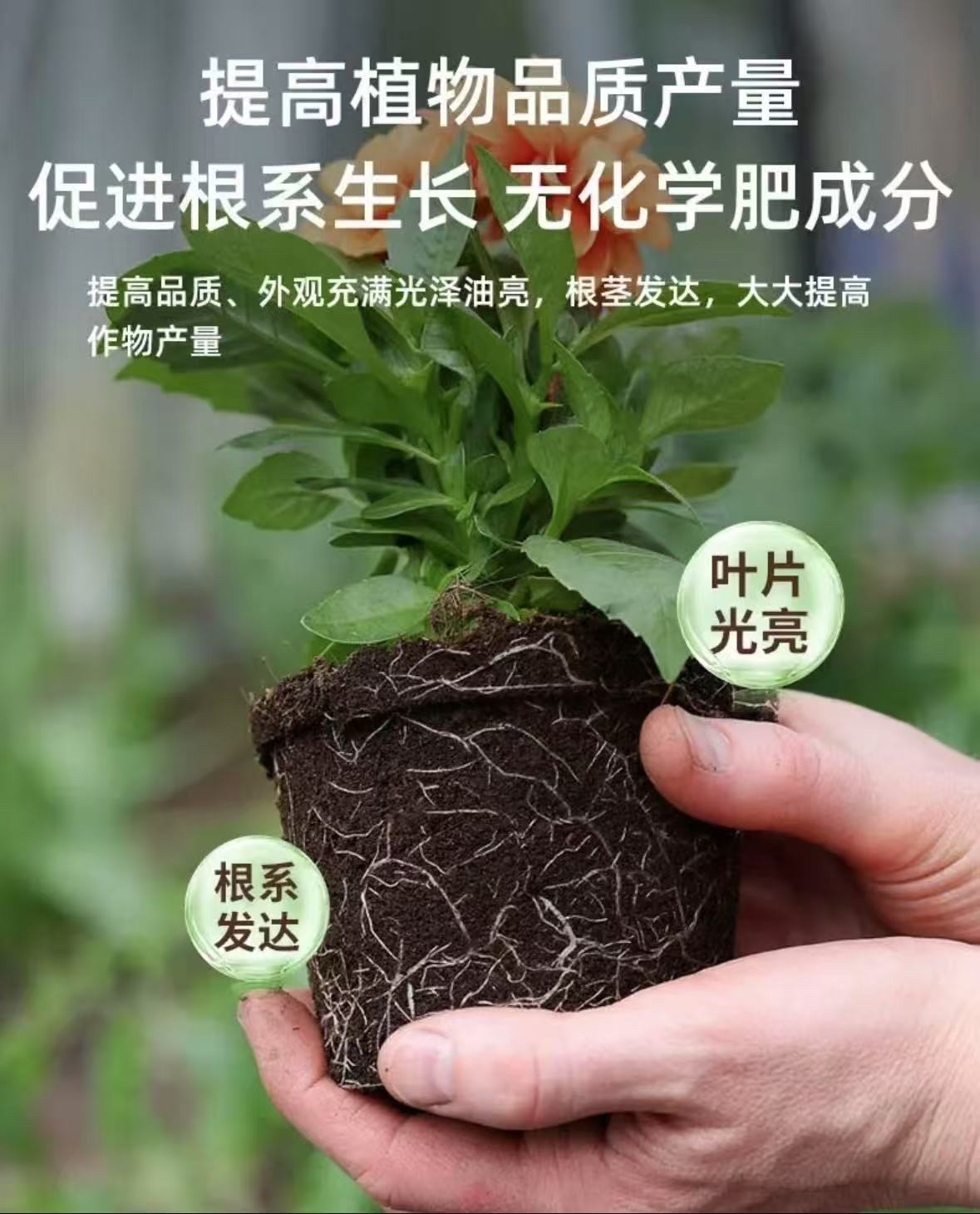 农家有机肥种菜种花都可以一包5斤一件顺丰包邮,鲜花速递/花卉仿真/绿植园艺,家庭园艺肥料,淘宝优惠券,粉丝福利购,淘宝优惠卷