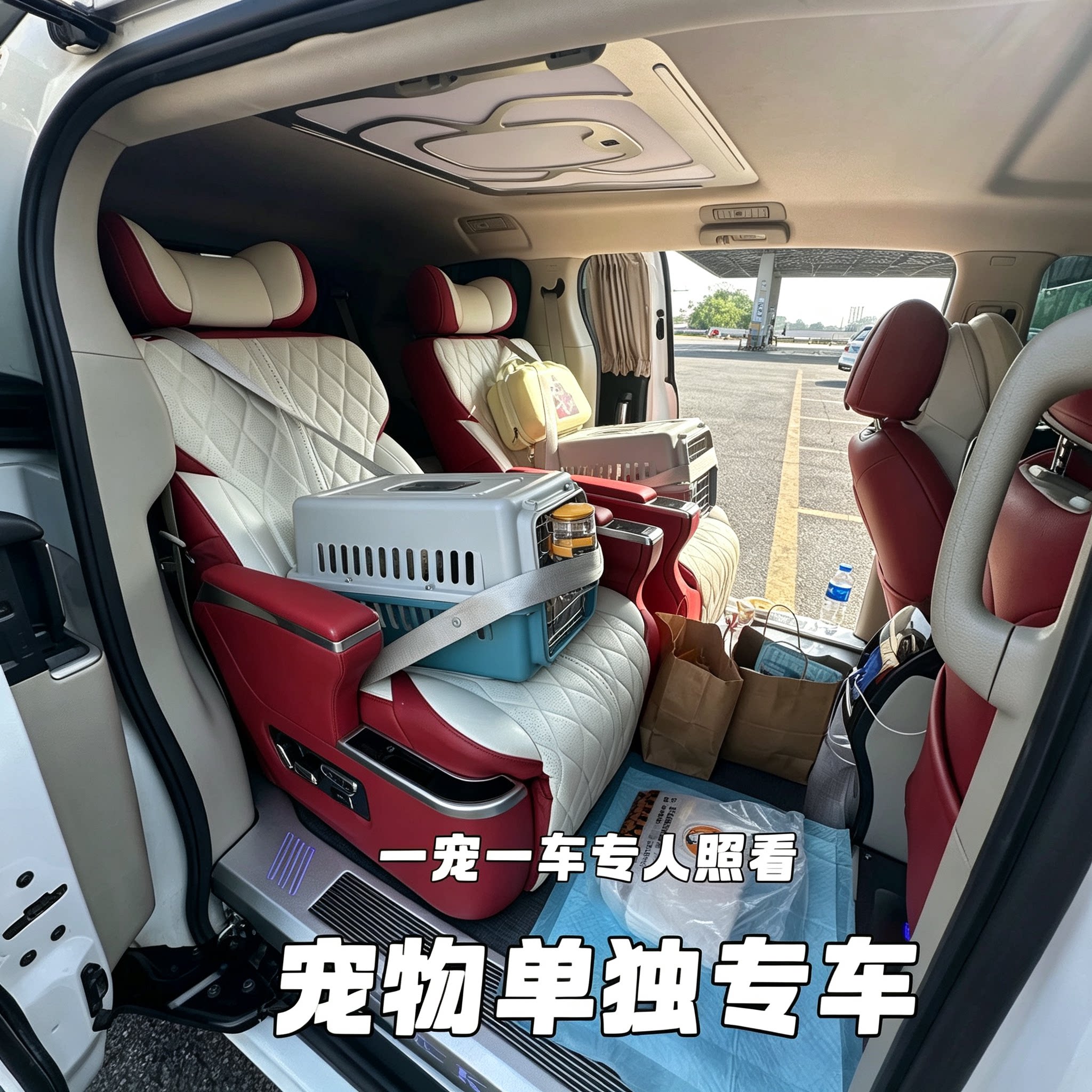 宠物托运全国猫咪狗狗空运办理香宠物托运
