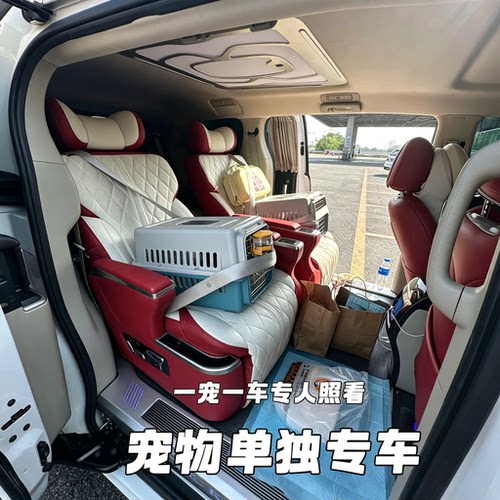 宠物托运全国猫咪狗狗空运办理香港澳门人宠包车等服务