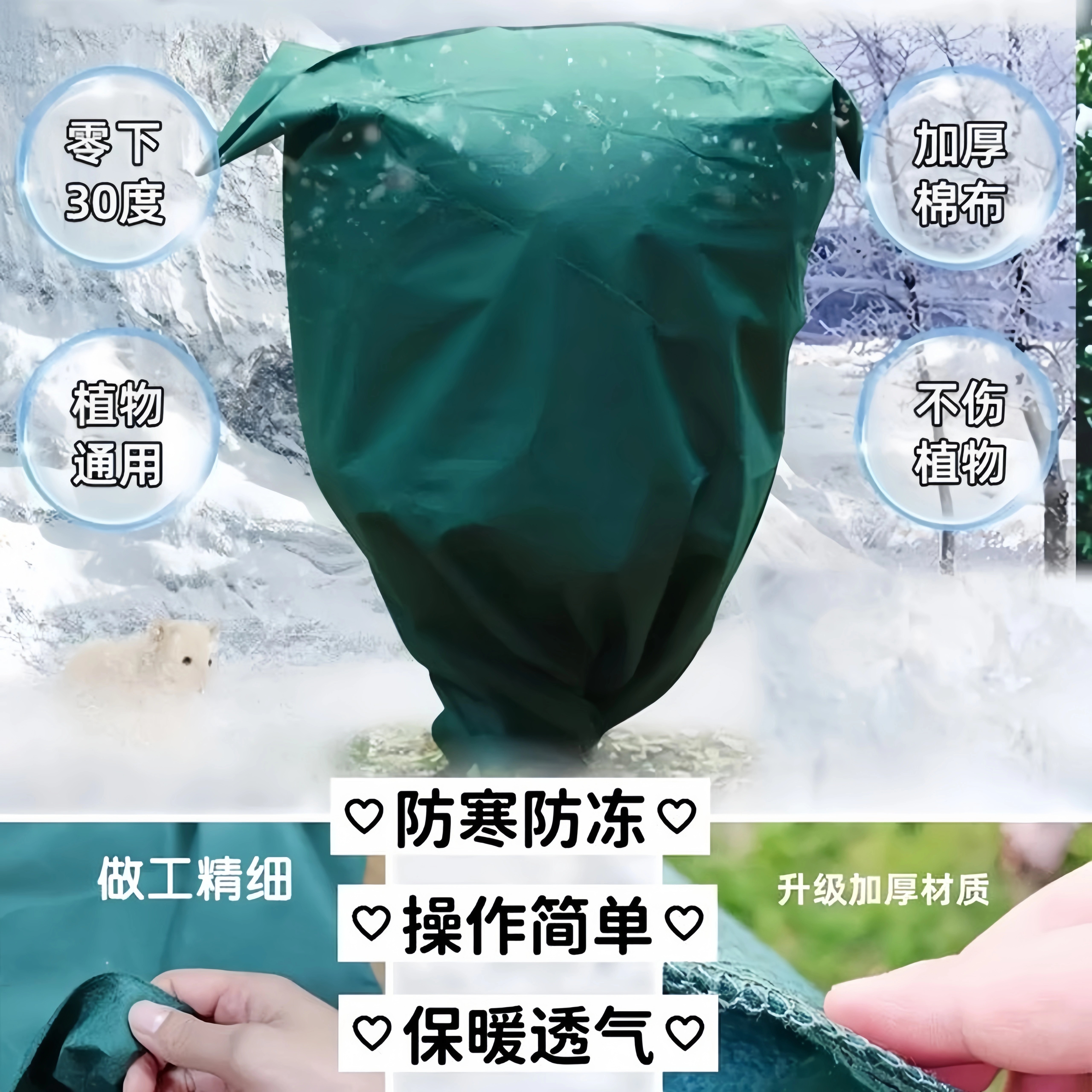 保暖罩植物越冬防寒罩