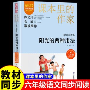 阳光的两种用法肖复兴著6六年级下册学期小学语文同步阅读书系教材课文作家作品儿童文学 小学生必课外阅读书籍寒暑假推荐读物正版