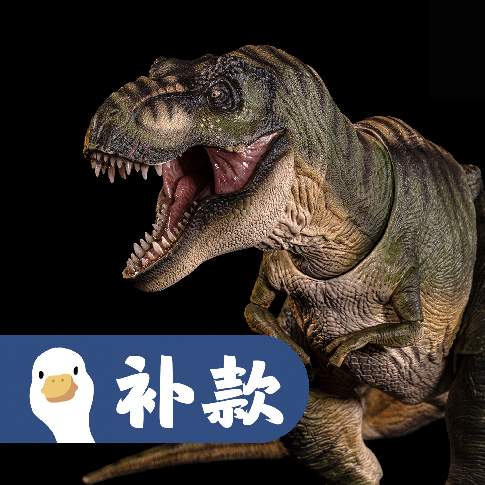 【呆头鹅模玩】本心楠改霸王龙