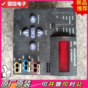 ETHERNET 议价QD 83034000 wieland